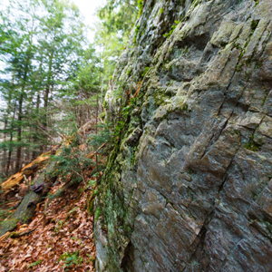 Sensing Place: Reflecting on Stone Hill