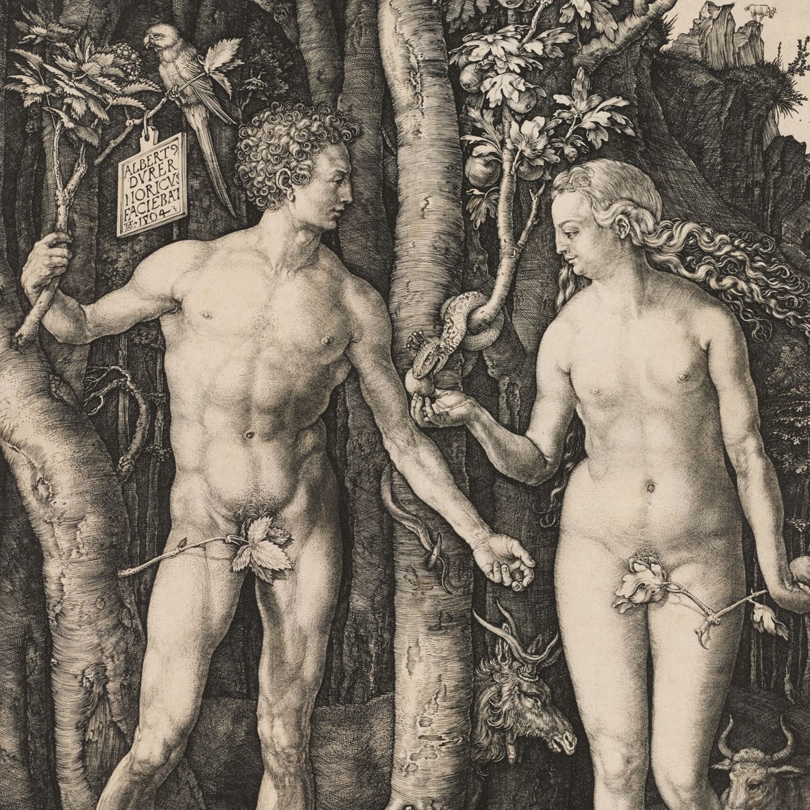 Dürer and After